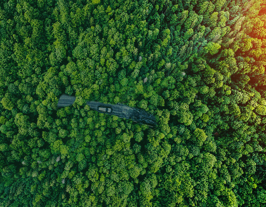 1683336202304014.jpg 森林-2(1).jpg