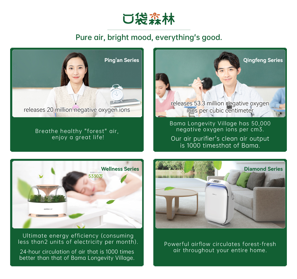 1717492502935360.jpg 口袋森林-纯英文.jpg